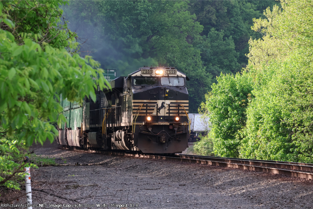 NS 7559